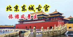 穴插操视频中国北京-东城古宫旅游风景区
